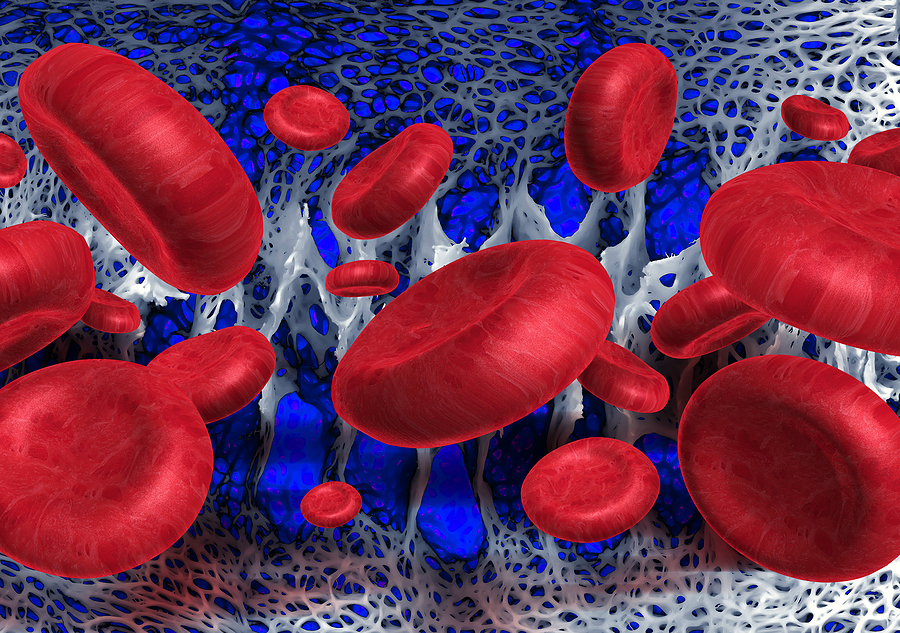 bigstock-Red-blood-cells-on-tissue-back-16729232